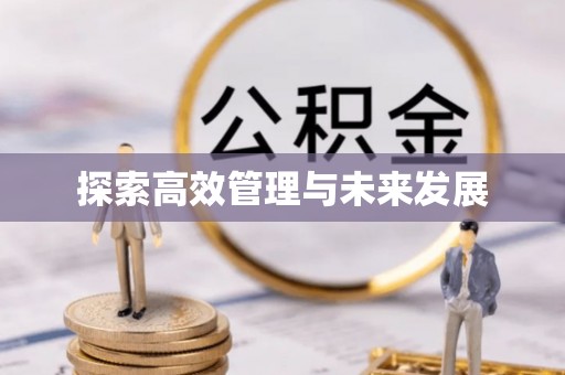 板桥探索高效管理与未来发展