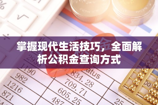 板桥掌握现代生活技巧，全面解析公积金查询方式