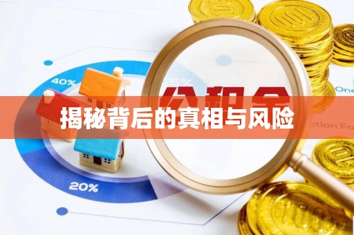 板桥揭秘背后的真相与风险