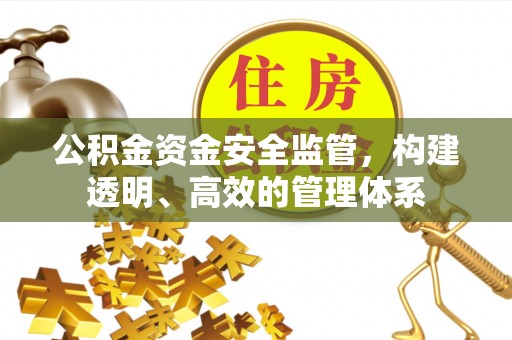 板桥公积金资金安全监管，构建透明、高效的管理体系