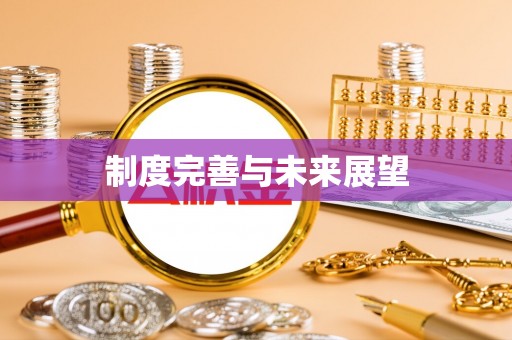 板桥制度完善与未来展望