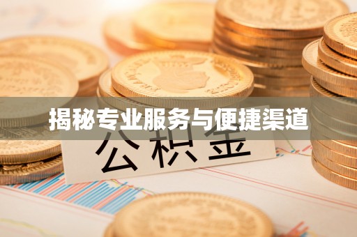 板桥揭秘专业服务与便捷渠道
