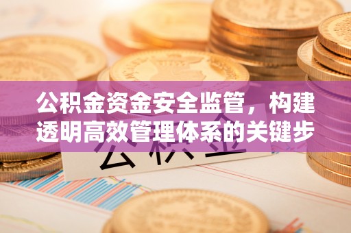 板桥公积金资金安全监管，构建透明高效管理体系的关键步骤
