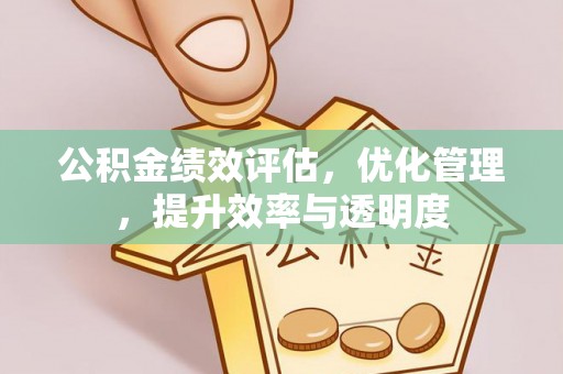 板桥公积金绩效评估，优化管理，提升效率与透明度