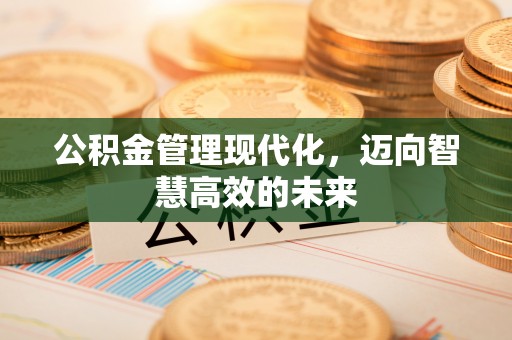 板桥公积金管理现代化，迈向智慧高效的未来