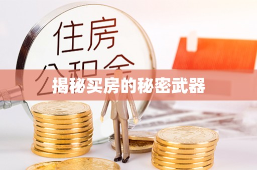 板桥揭秘买房的秘密武器