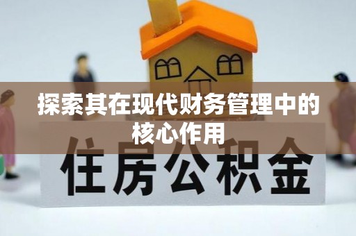 板桥探索其在现代财务管理中的核心作用