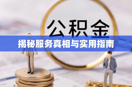 板桥揭秘服务真相与实用指南