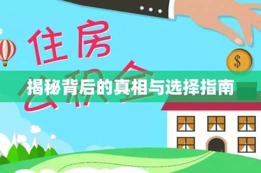 板桥揭秘背后的真相与选择指南