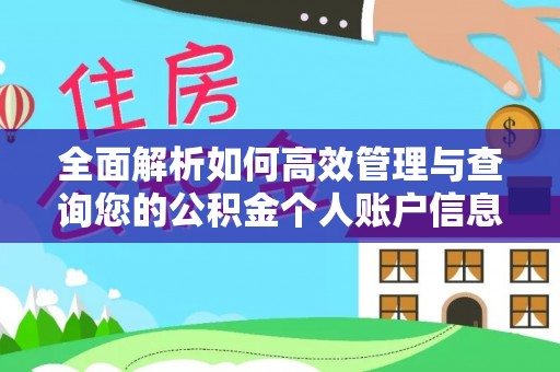 板桥全面解析如何高效管理与查询您的公积金个人账户信息