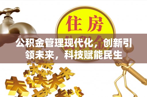 板桥公积金管理现代化，创新引领未来，科技赋能民生