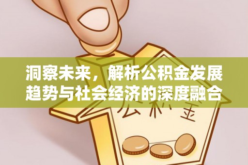 板桥洞察未来，解析公积金发展趋势与社会经济的深度融合