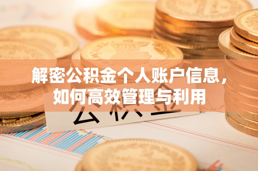 板桥解密公积金个人账户信息，如何高效管理与利用