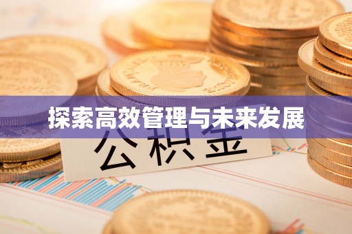 板桥探索高效管理与未来发展