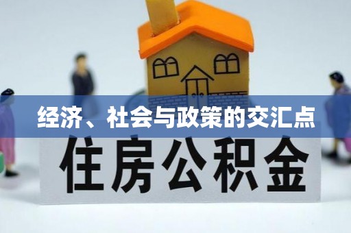 板桥经济、社会与政策的交汇点
