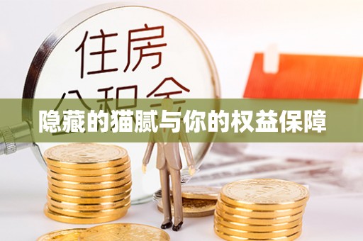 板桥隐藏的猫腻与你的权益保障