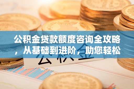 板桥公积金贷款额度咨询全攻略，从基础到进阶，助您轻松掌握关键要点