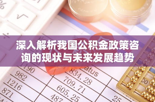 板桥深入解析我国公积金政策咨询的现状与未来发展趋势