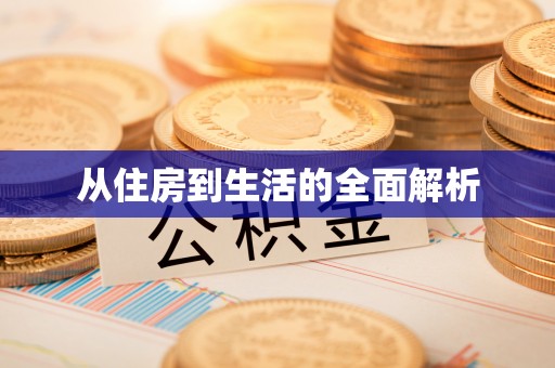 板桥从住房到生活的全面解析