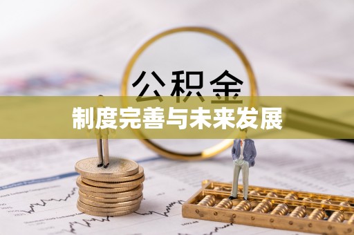 板桥制度完善与未来发展