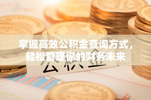 板桥掌握高效公积金查询方式，轻松管理你的财务未来