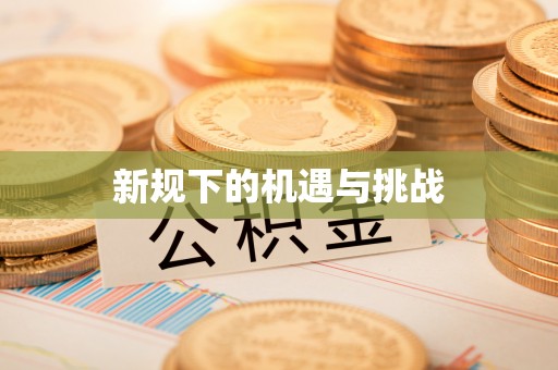 板桥新规下的机遇与挑战