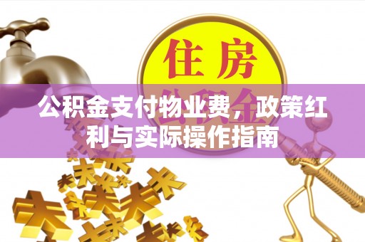 板桥公积金支付物业费，政策红利与实际操作指南