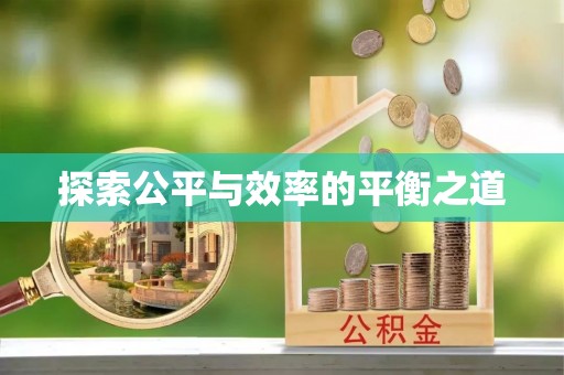 板桥探索公平与效率的平衡之道