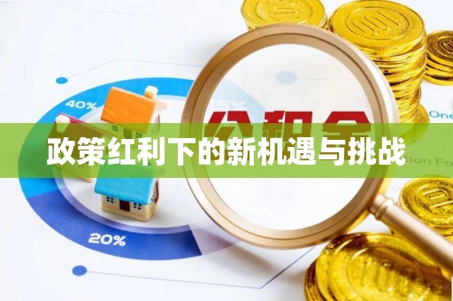 板桥政策红利下的新机遇与挑战