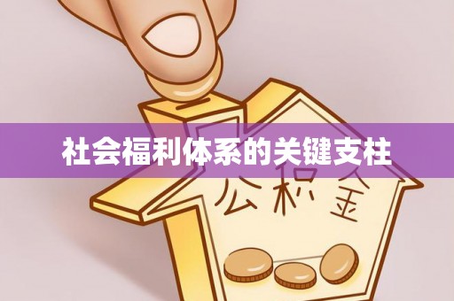 板桥社会福利体系的关键支柱