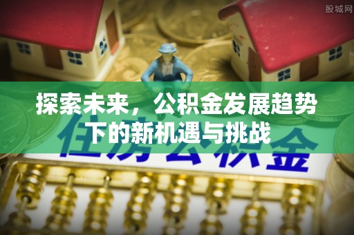 板桥探索未来，公积金发展趋势下的新机遇与挑战