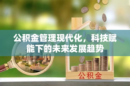 板桥公积金管理现代化，科技赋能下的未来发展趋势