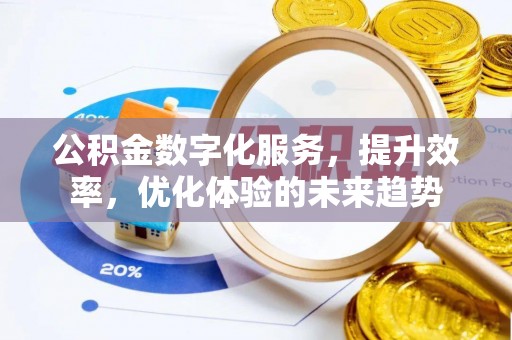 板桥公积金数字化服务，提升效率，优化体验的未来趋势