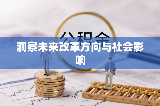 板桥洞察未来改革方向与社会影响