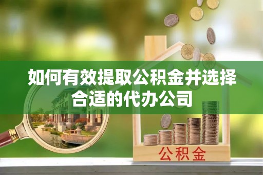 板桥如何有效提取公积金并选择合适的代办公司