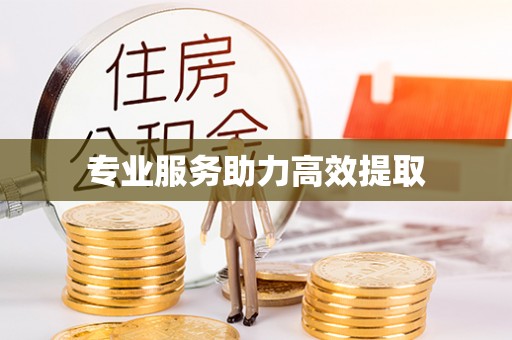 板桥专业服务助力高效提取