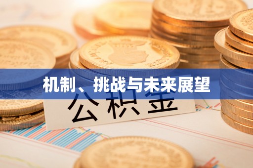 板桥机制、挑战与未来展望