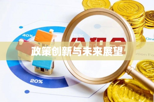 板桥政策创新与未来展望