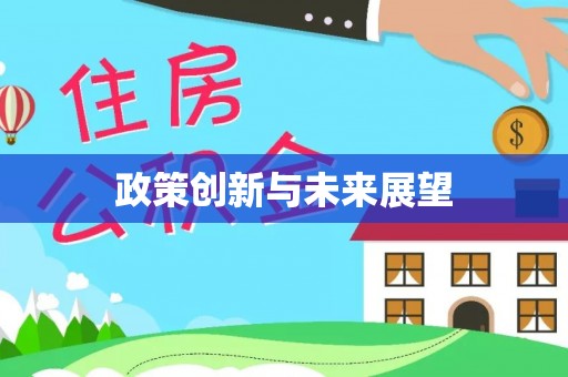 板桥政策创新与未来展望