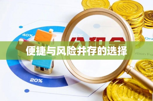 板桥便捷与风险并存的选择
