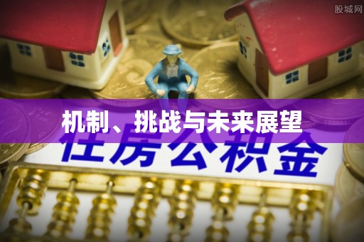 板桥机制、挑战与未来展望
